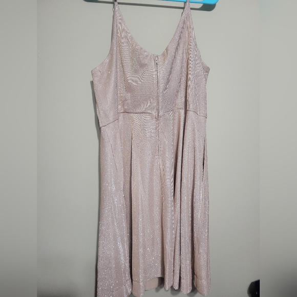NWT SPARKLE champagne knee length dress size 18 With POCKETS! - Picture 3 of 6